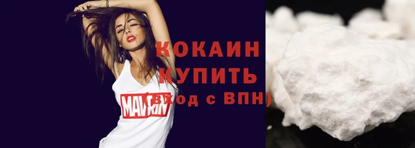 Альфа ПВП Кулебаки